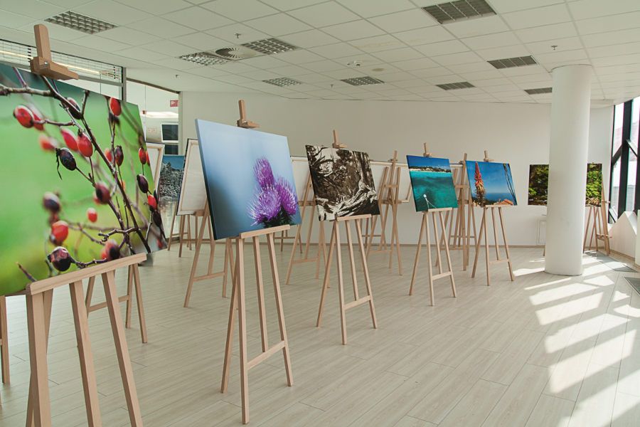 výstava fotoobrazov