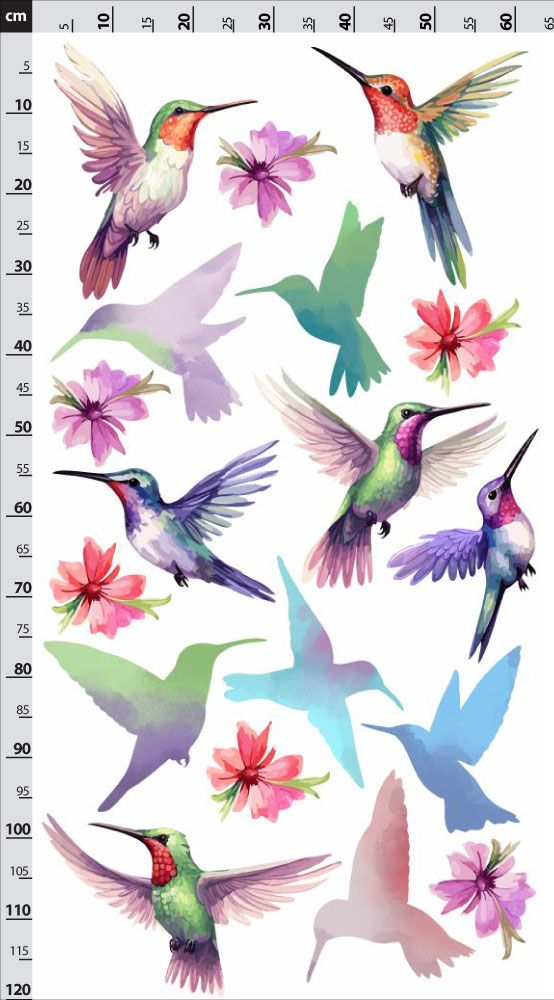 Kolibríky - nálepka na stenu