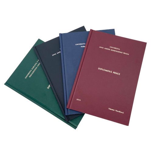 viazanie diplomoviek
