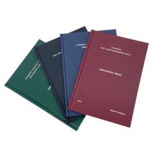 Viazanie diplomoviek