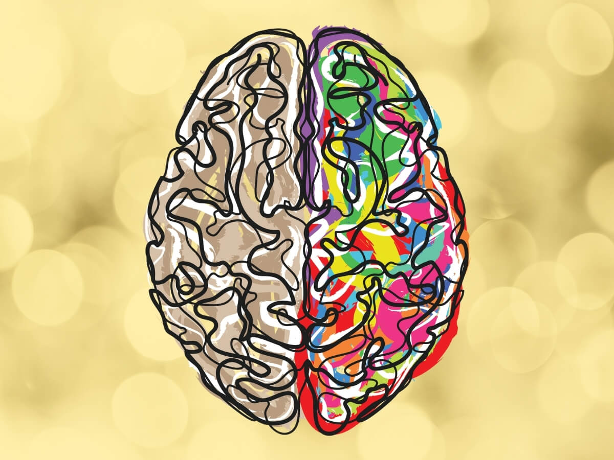 Ilustrácia mozgu zobrazujúceho pravú a ľavú hemisféru.