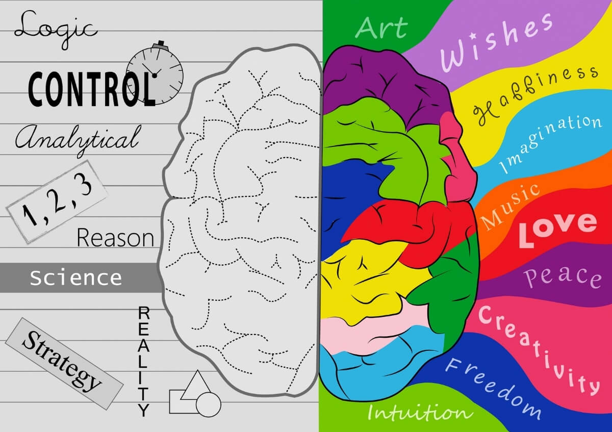 Rozdelenie mozgových hemisfér na logiku a kreativitu.