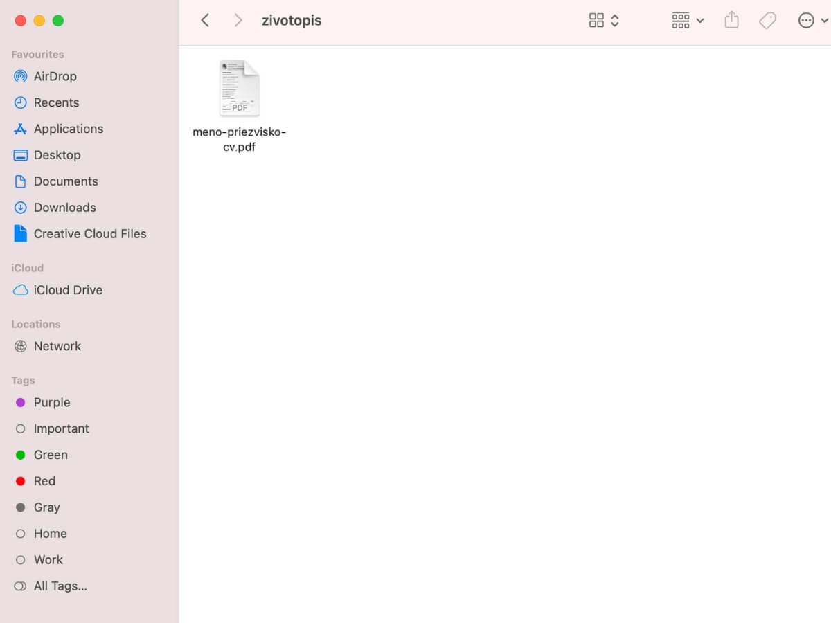 Správny názov PDF súboru životopisu uložený v dokumentoch.